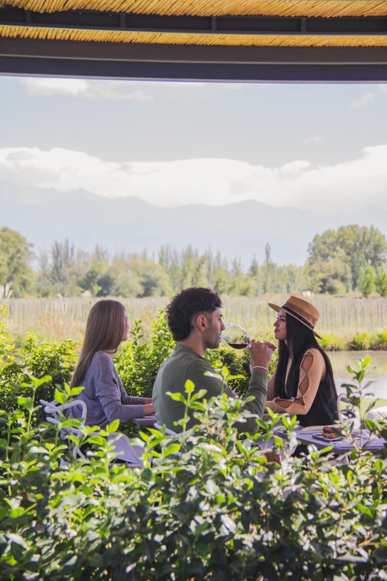 Postales Boutique Winery Hotel - Valle De Uco Colonia Las Rosas Zewnętrze zdjęcie