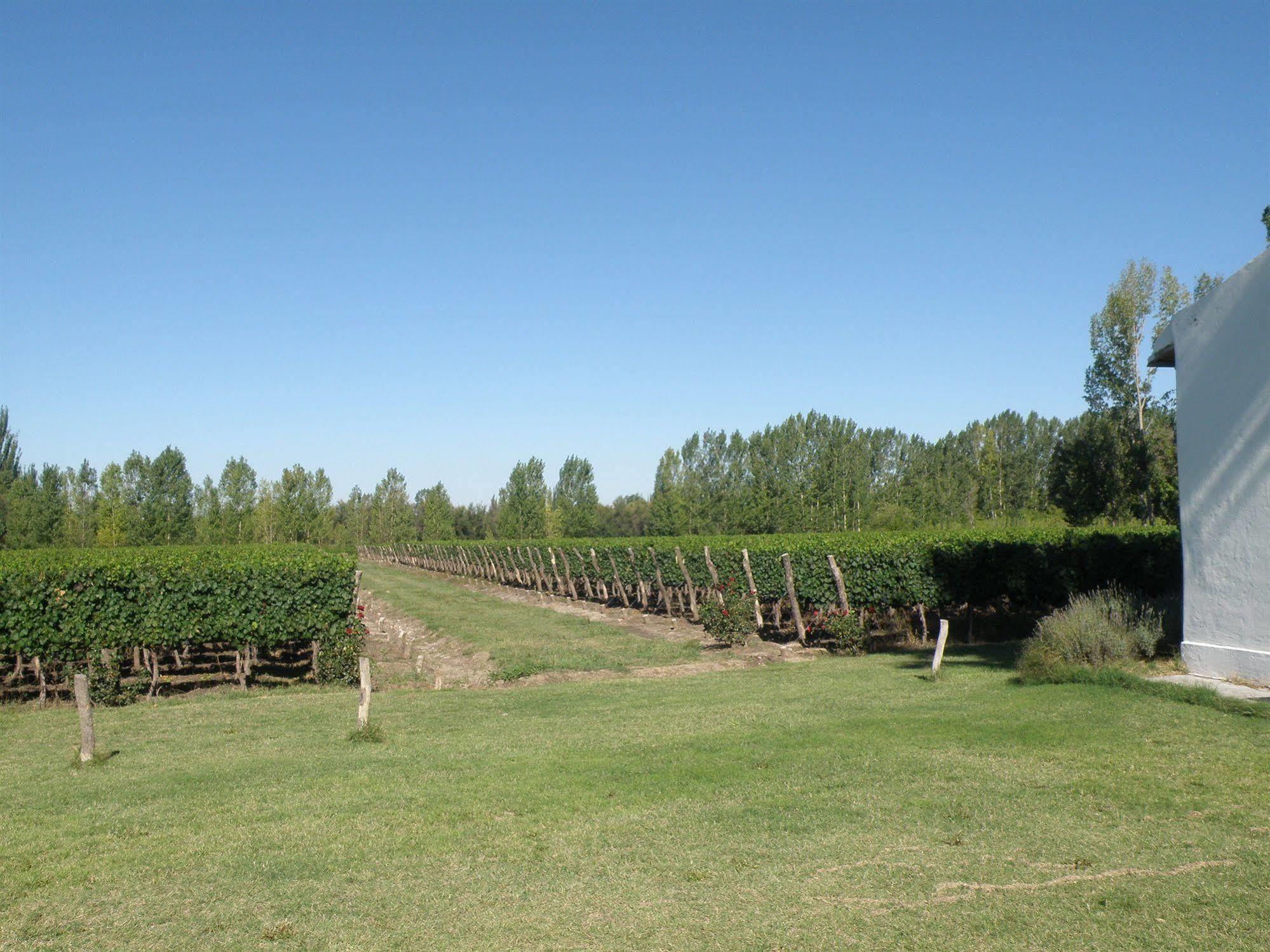 Postales Boutique Winery Hotel - Valle De Uco Colonia Las Rosas Zewnętrze zdjęcie