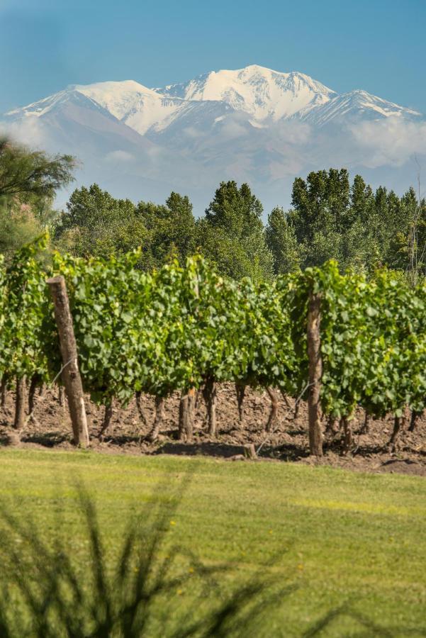 Postales Boutique Winery Hotel - Valle De Uco Colonia Las Rosas Zewnętrze zdjęcie